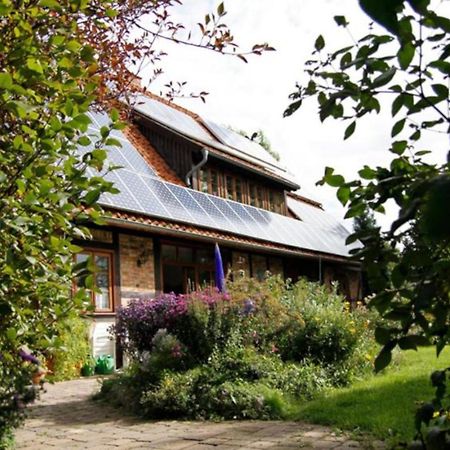 Ferienwohnung Marienau Coppenbrugge Экстерьер фото