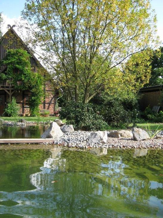 Ferienwohnung Marienau Coppenbrugge Экстерьер фото